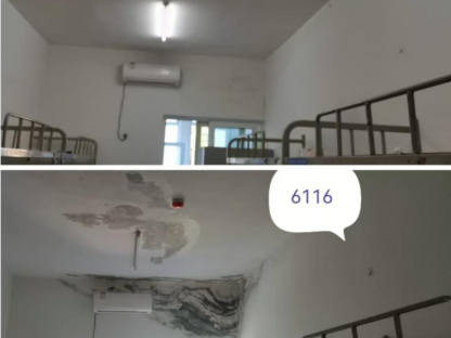 5.jpg 5.jpg